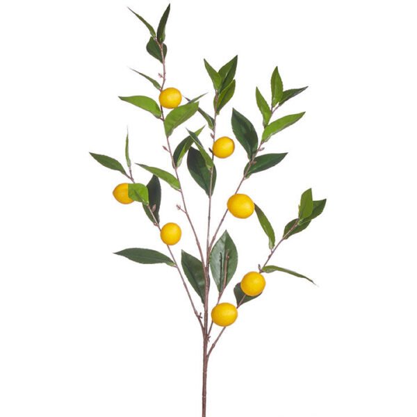 Lemon Branch