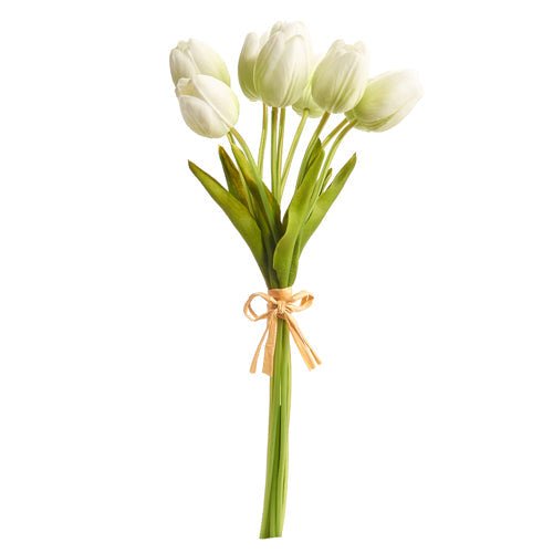 Light Green Tulip Bundle