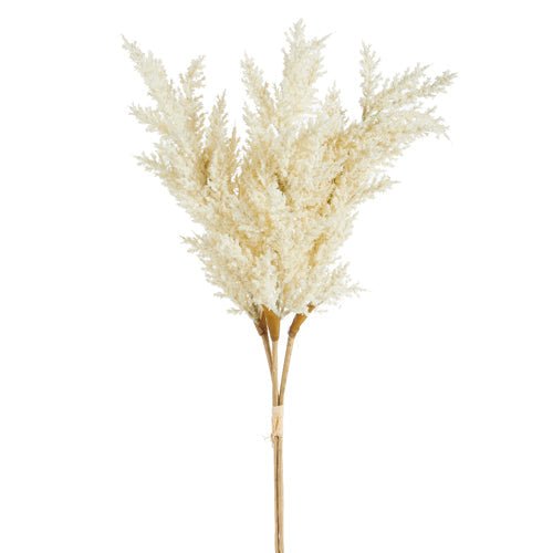 Dried Pampas Grass Bundle