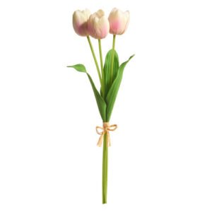 Light Pink Tulip Bundle